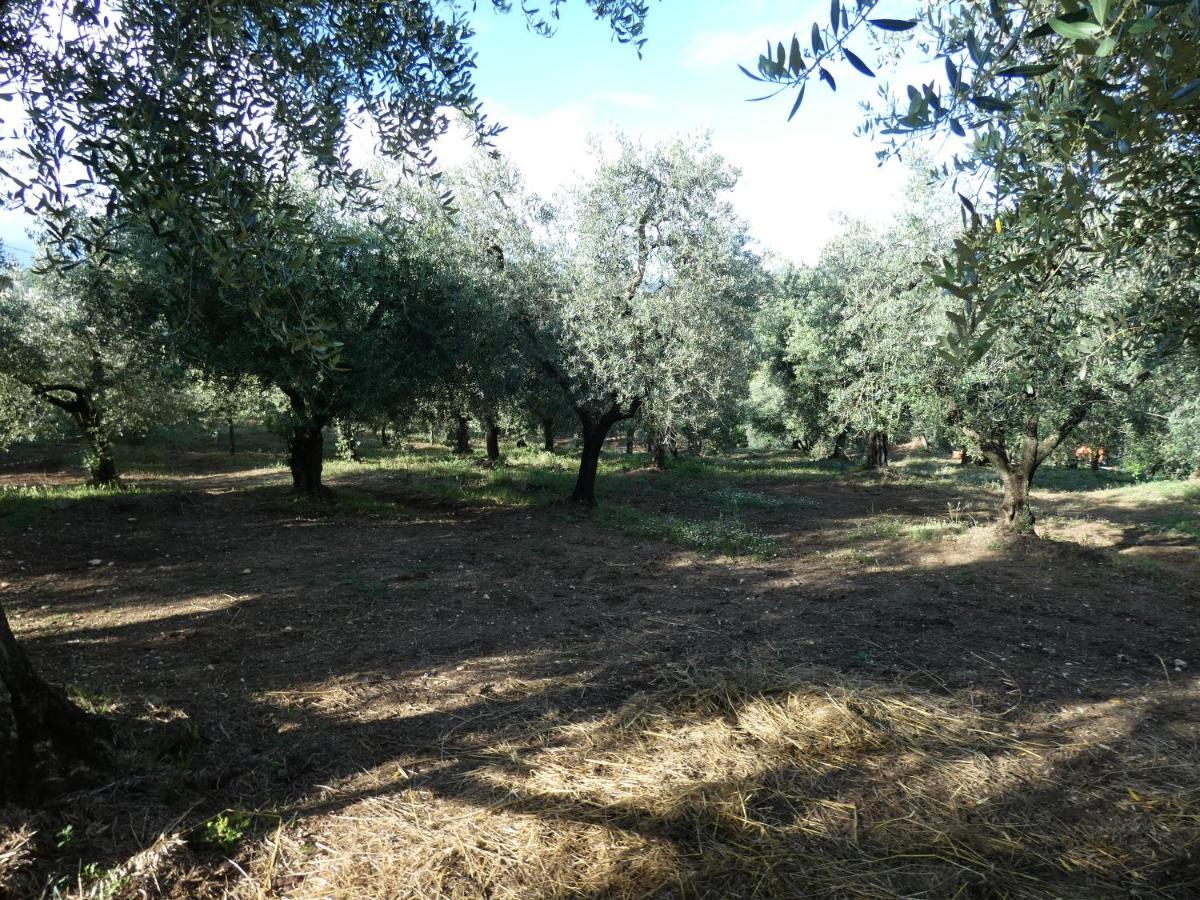 I Due Melograni Agriresort Tarano 外观 照片
