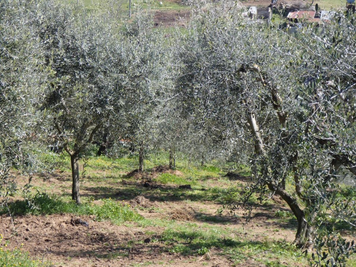 I Due Melograni Agriresort Tarano 外观 照片